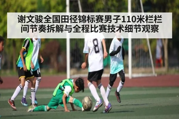 谢文骏全国田径锦标赛男子110米栏栏间节奏拆解与全程比赛技术细节观察